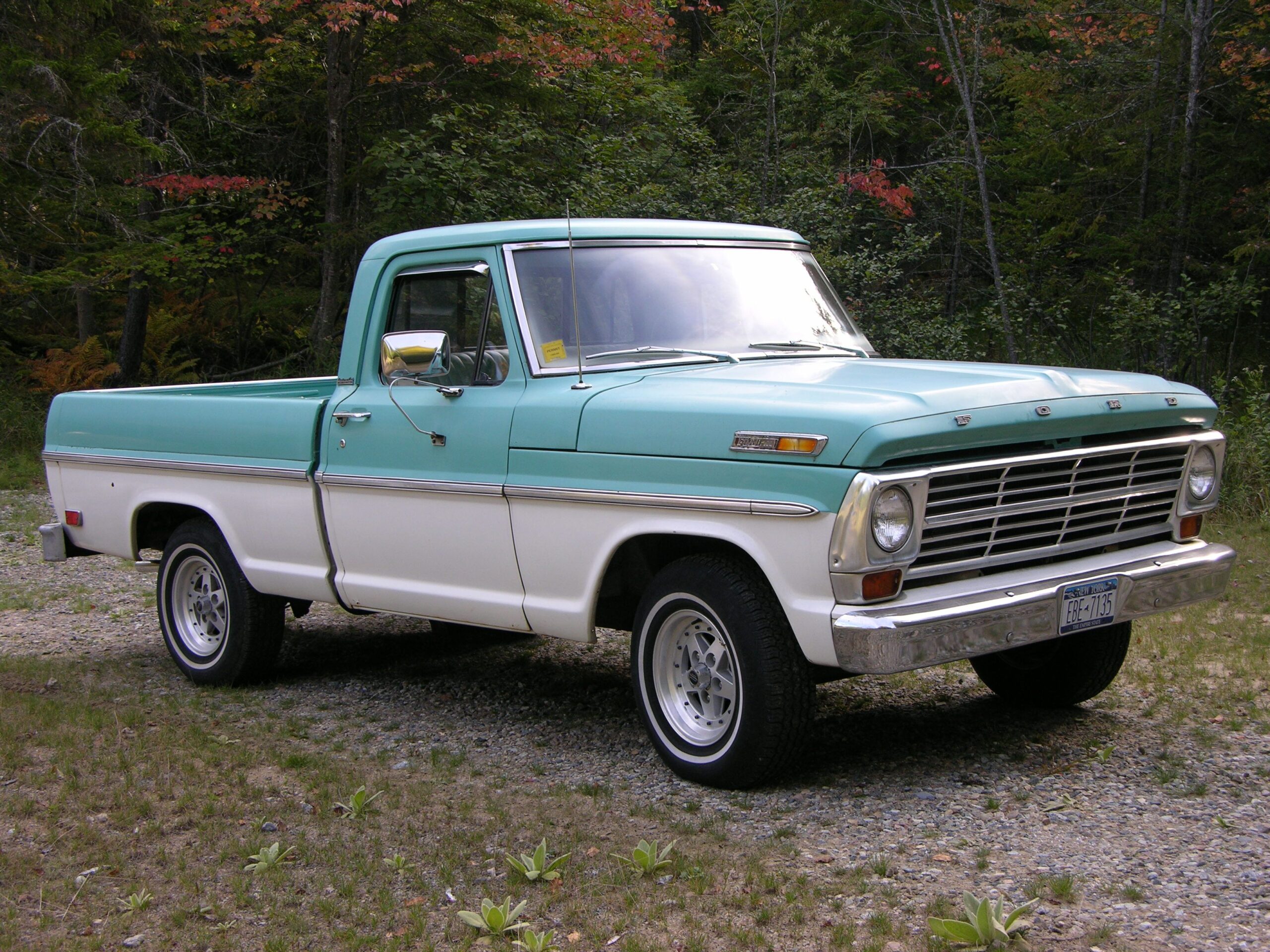 ford truck